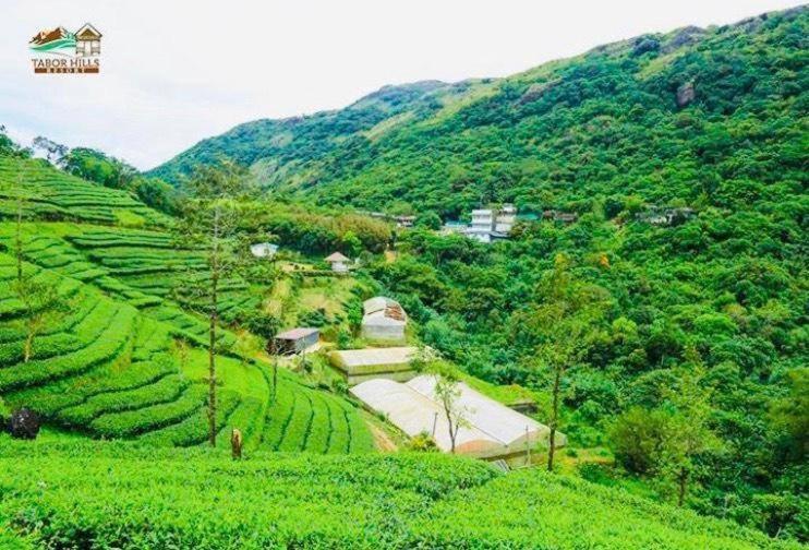 Tabor Hills Resort Вагамон Экстерьер фото